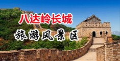 肏大黑逼逼视频中国北京-八达岭长城旅游风景区
